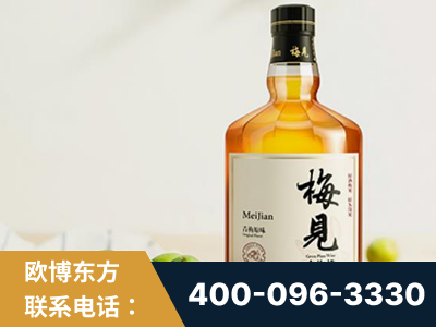 漯河-梅见青梅酒